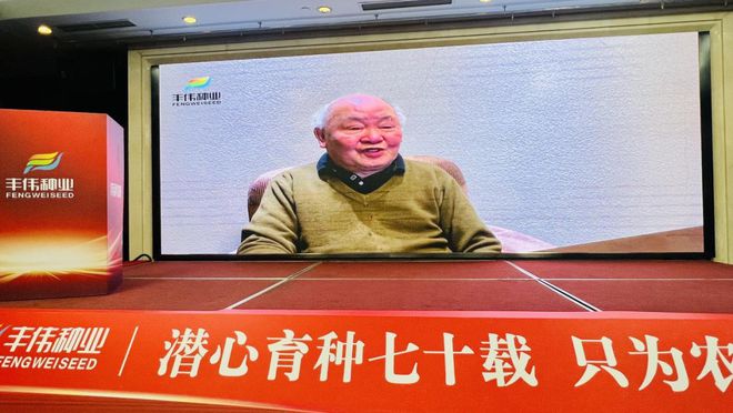 ＆白轴优质大棒伟科106上市大会九游会j9登陆丰伟种业突破性产品(图5)