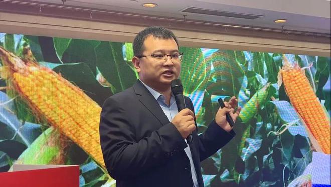 ＆白轴优质大棒伟科106上市大会九游会j9登陆丰伟种业突破性产品(图4)